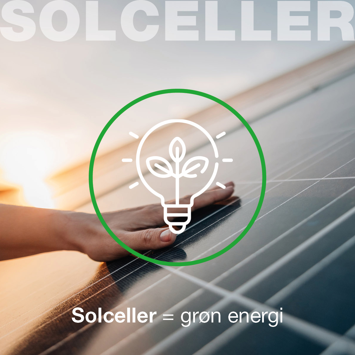 384502574_820333700091709_8131202348065254071_n